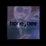 honeybee