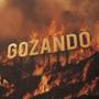 GOZANDO