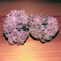 Pink Kush