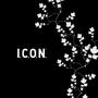 ICON (Explicit)