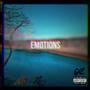 Emotions (Explicit)