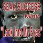 Look Into My Eyes F/ Kane (Explicit)