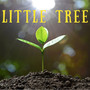 Little Tree