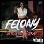 Felony (Explicit)