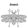 Insect