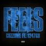 Feel (feat. 1247 GB) [Explicit]
