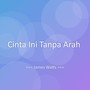 Cinta Ini Tanpa Arah
