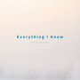 Everything I Know (2025 Remastered Version)