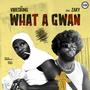 What a Gwan (feat. Zaky)