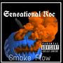 Smoke Flow (Explicit)