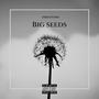 Big Seeds (Explicit)