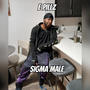 Sigma Male (Explicit)