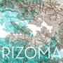 Rizoma