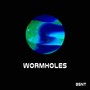 Wormholes