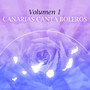 Canarias Canta Boleros, Vol. 1