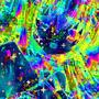 COLOR FUNK