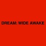 DREAM: WIDE AWAKE (Live Studio Project)