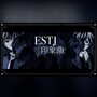 【苍穹原创】ESTJ印象曲【MBTI印象】