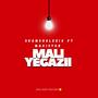 Imali Yegazii (feat. Skamsholozix & Mavistor) [Special Version]