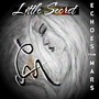 Little Secret