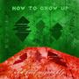 How To Grow Up And Fail Miserably (Explicit)