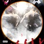 Evolve (Explicit)