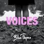 VOICES (feat. DasNichts)