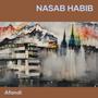 Nasab Habib