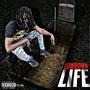 Lowdown Life (Explicit)