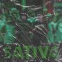 SATIVA (feat. Slow Burn 1309) [Explicit]