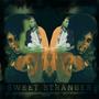 Sweet Stranger (feat. Scott Martin)