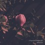 Unspecified moment EP