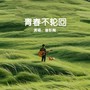 青春不轮回（曾彭飚版）