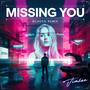 Missing You (feat. DSB, Forrest Kemper & Daneik Ashley) [Echoes Remix]