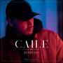 CAILE (Explicit)