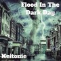 Flood In the Dark Day