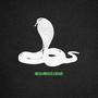 SNAKES (feat. Rich Lee & ATG Sleaze) [Explicit]