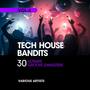 Tech House Bandits, Vol. 4 (30 Ultimate Groove Gangsters)
