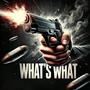 Whats What (feat. Baby Lord Sosa) [Explicit]