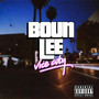 Vice City (Explicit)