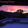 Laying Grass