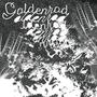 Goldenrod