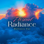 Eternal Radiance