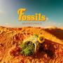 Fossils