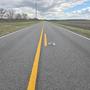 Bitter Road (On and On)