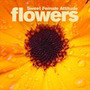 Flowers (Curtis Gabriel & Sam Divine Remix)