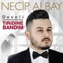 Develi / Tiridine Bandım