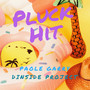 Pluck Hit (feat. DInside Project)