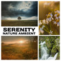 Serenity Nature Ambient: 50 Relaxation Sounds for Meditation & Sleep, Instrumental New Age for Yoga & Spa