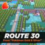 Route 30 (From 